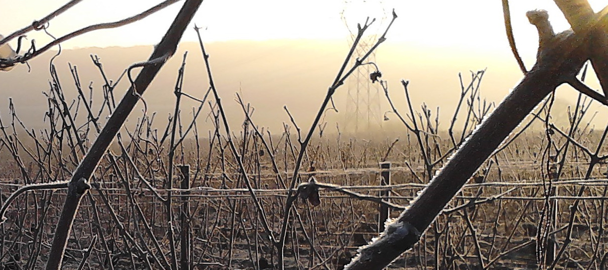 Champagne Gaudinat-Boivin - Histoire